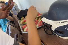 Cats Brno - soustředění 14. -18.8.2024