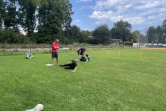Cats Brno - soustředění 14. -18.8.2024