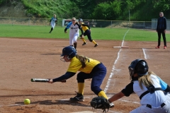 DSC_2012-1024x685