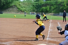 DSC_2013-1024x685