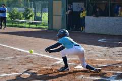 DSC_0293